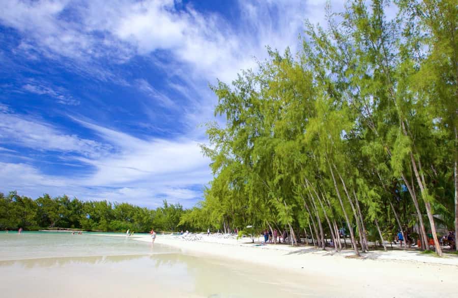 Mauritius: Catamaran Cruise to Ile Aux Cerfs with BBQ Lunch - Snorkeling and Swimming Along the Coast