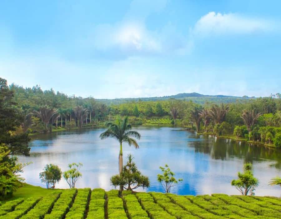 Mauritius: Customizable Private Tour by Car - Start with Port Louis and its central sights