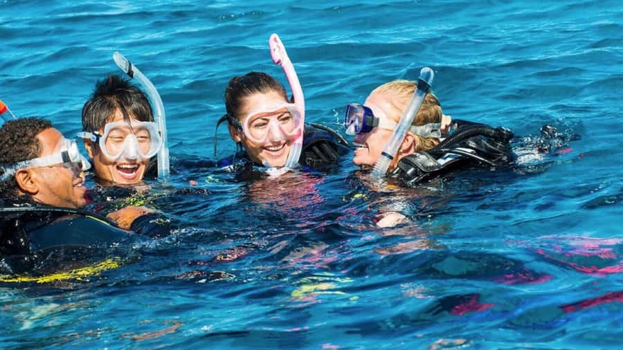Mauritius: East Belle Mare Scuba Diving Tour - Why Belle Mare is a good place to try scuba