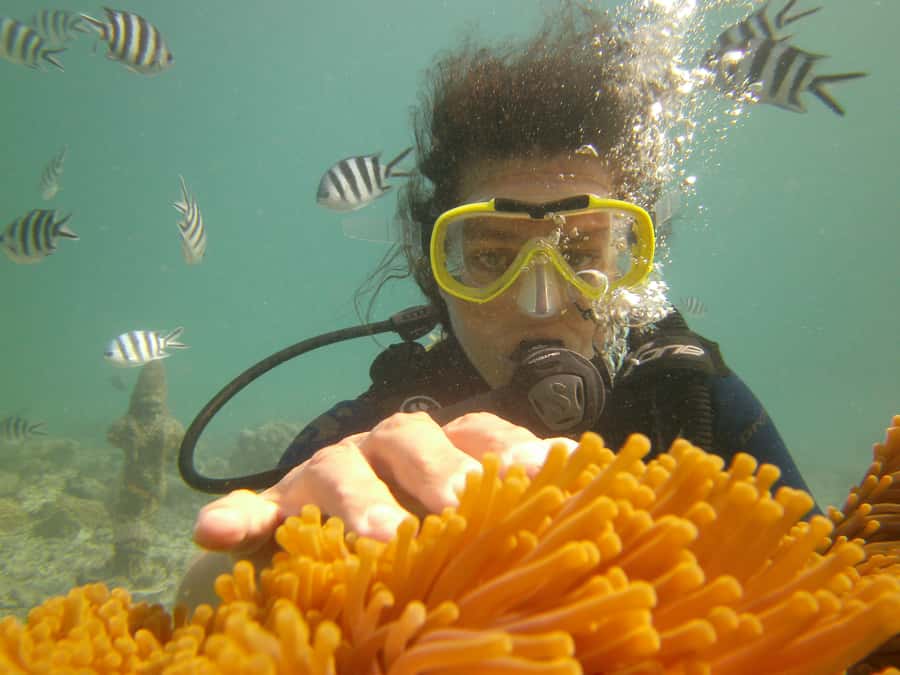 Mauritius: East Belle Mare Scuba Diving Tour - From shallow water to the open sea