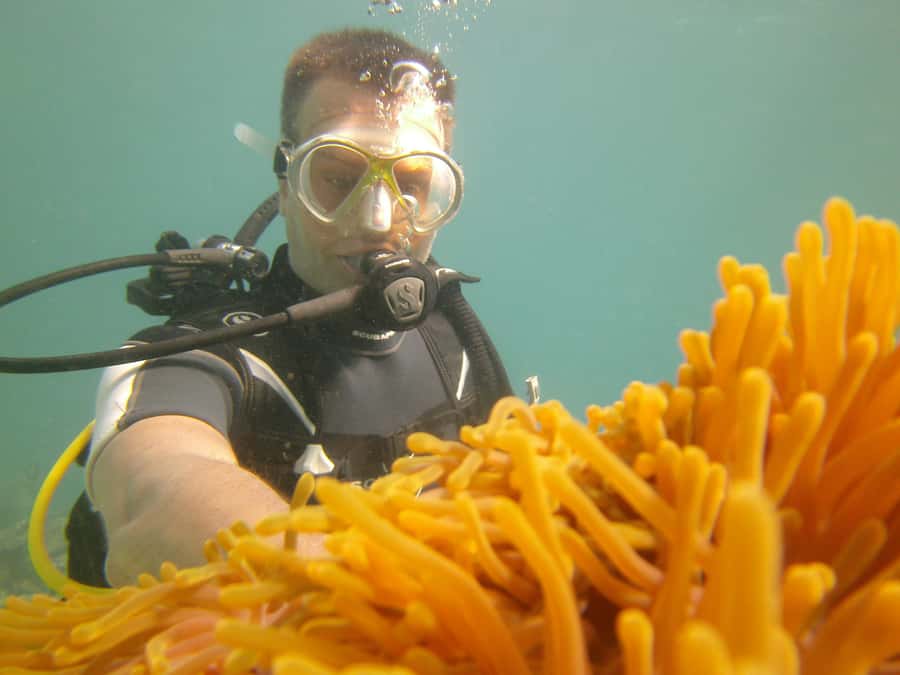 Mauritius: East Belle Mare Scuba Diving Tour - What the $158 price includes