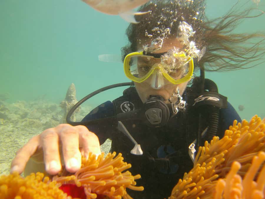 Mauritius: East Belle Mare Scuba Diving Tour - Who should book this Belle Mare session