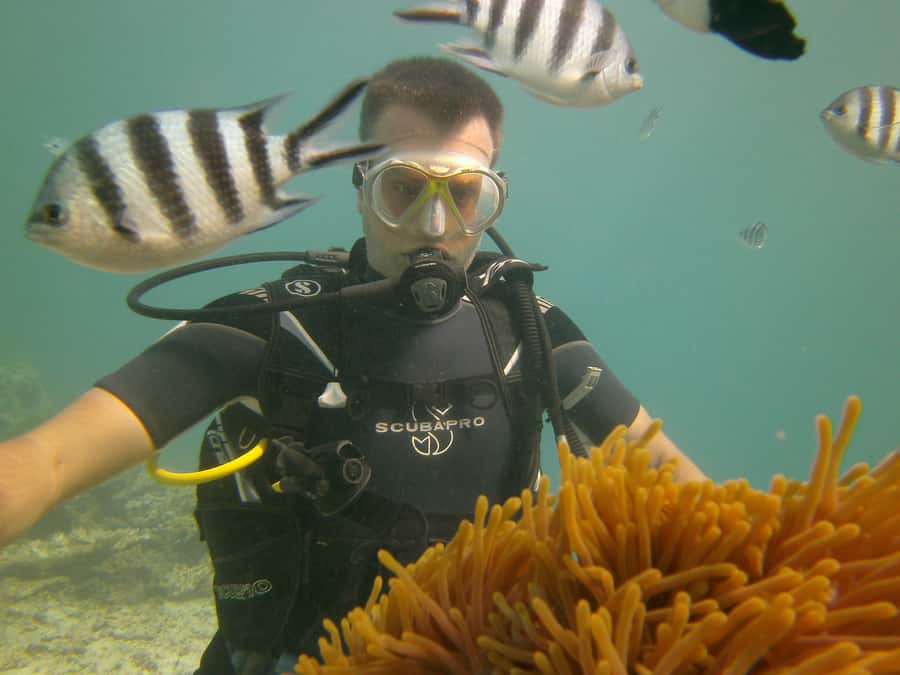 Mauritius: East Belle Mare Scuba Diving Tour - Booking flexibility and the West Coast alternative