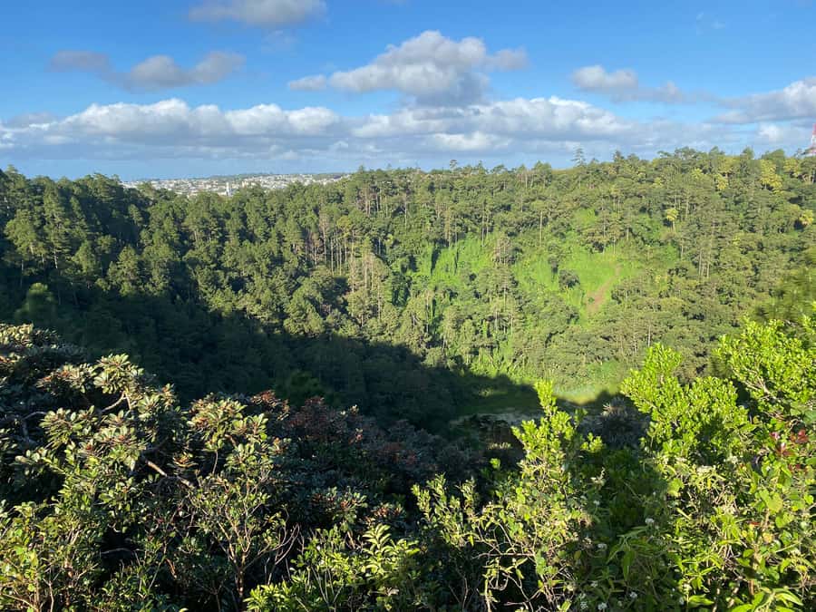 Mauritius: Exclusive South West Tour - Alexandra Falls and Black River Gorges