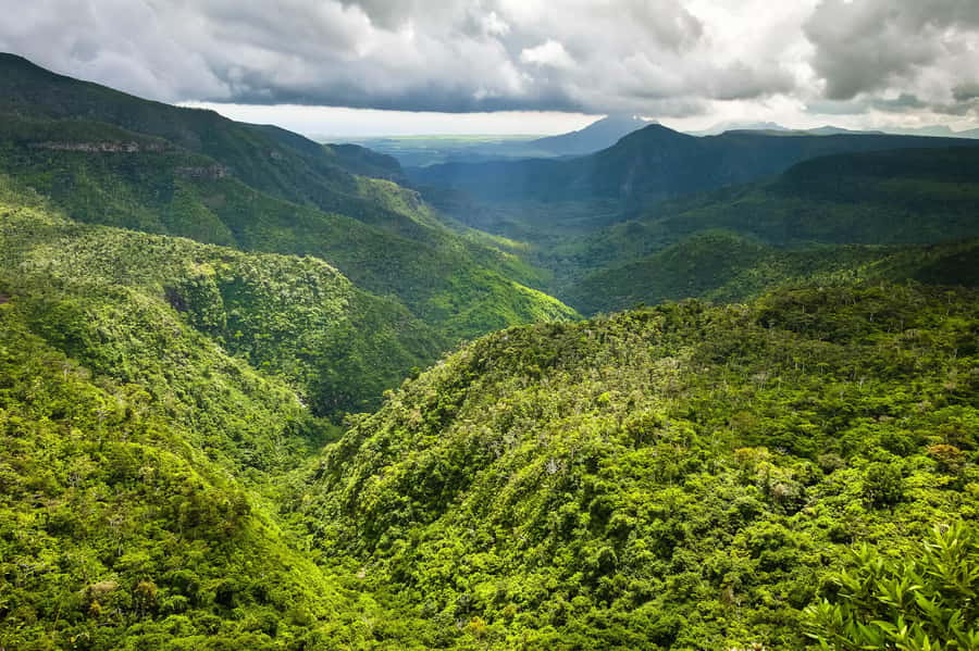 Mauritius: Exclusive South West Tour - Should you book the South West Tour?