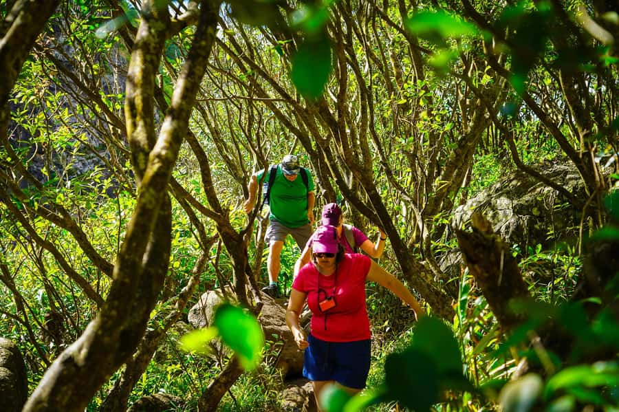 Mauritius: Exploring the Tamarind Falls with a Guide - Platforms, cascades, and changing difficulty