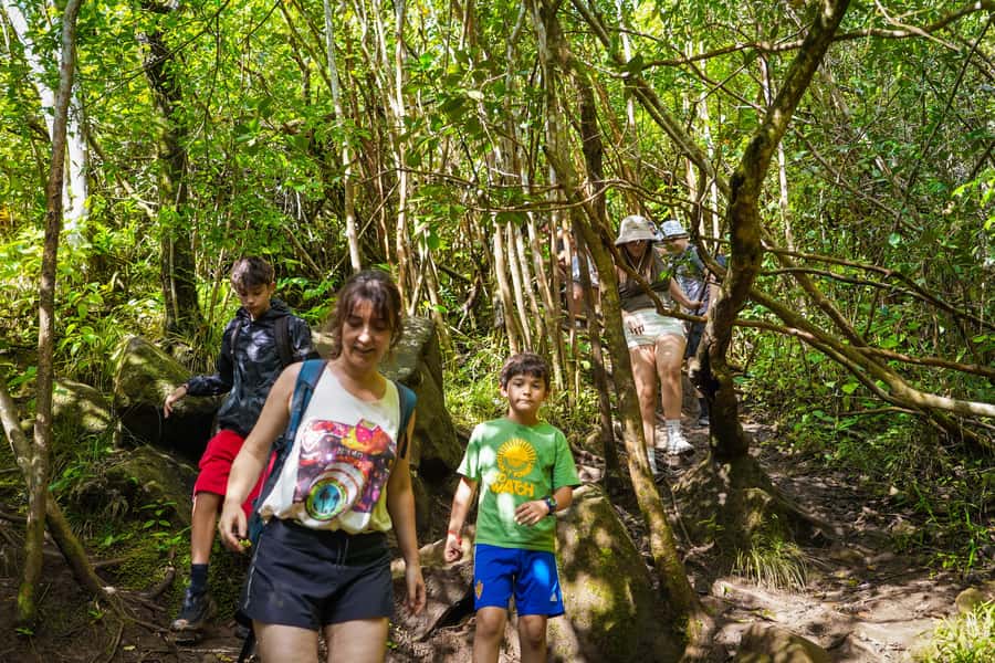 Mauritius: Exploring the Tamarind Falls with a Guide - The final waterfall massage