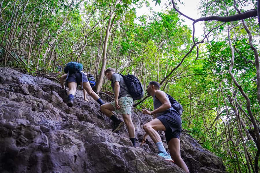 Mauritius: Exploring the Tamarind Falls with a Guide - What the guides add