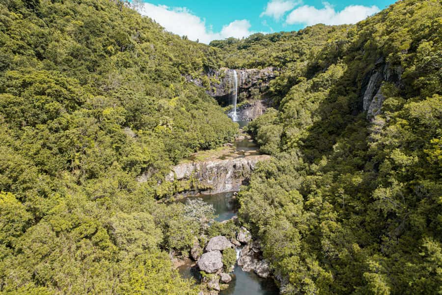 Mauritius: Exploring the Tamarind Falls with a Guide - The meeting point and the first rainforest section