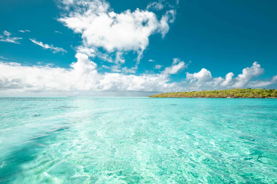 Mauritius: Full-Day Speedboat Tour to Ile aux Cerfs & BBQ - Snorkeling over coral and tropical fish