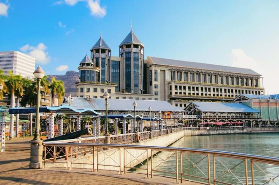 Mauritius: Full Day Tour of the North with Hotel Transfer - Ripe black tea and the stop to assess carefully