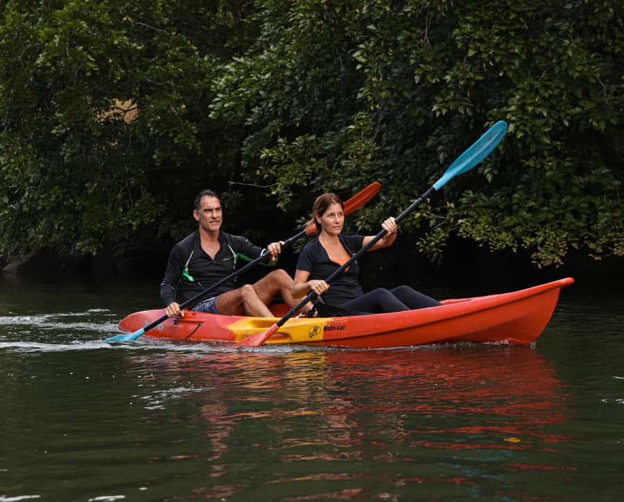 Mauritius: Guided Kayak Tour on Tamarin River - Key points at a glance