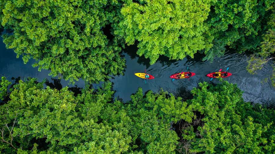 Mauritius: Guided Kayak Tour on Tamarin River - The guide makes the difference