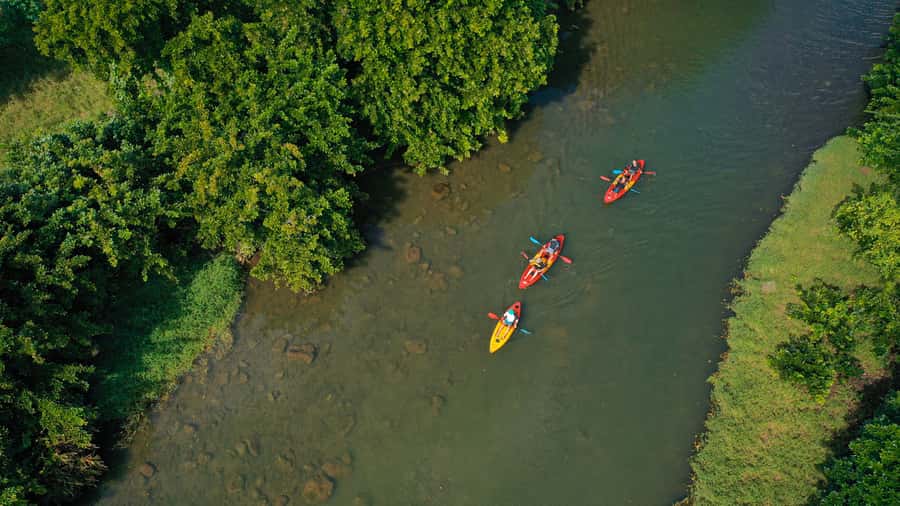 Mauritius: Guided Kayak Tour on Tamarin River - Who should book this Tamarin kayak tour?