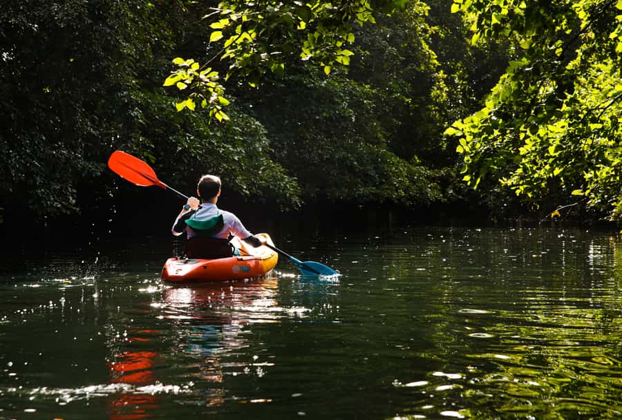 Mauritius: Guided Kayak Tour on Tamarin River - Why the river feels different from the beach