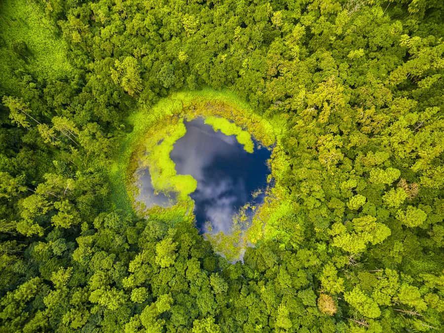 Mauritius: Guided Trip to the Southwest with Safari Tour - Trou Aux Cerfs and the View Over Curepipe