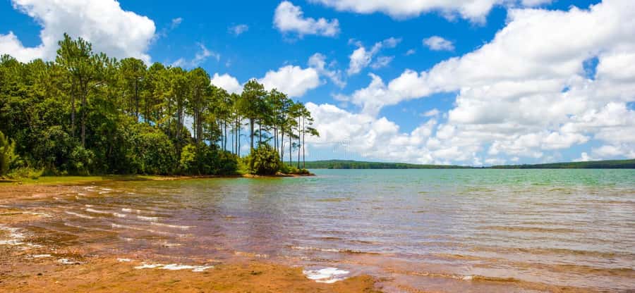 Mauritius: Guided Trip to the Southwest with Safari Tour - Casela Nature Park: Safari, Birds, and Big Cats