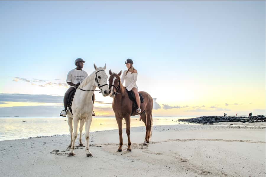 Mauritius: Horseback riding on the beach - Meeting a horse before the beach