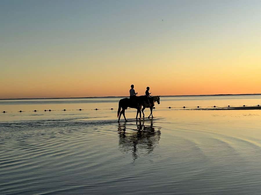 Mauritius: Horseback riding on the beach - What the guide adds