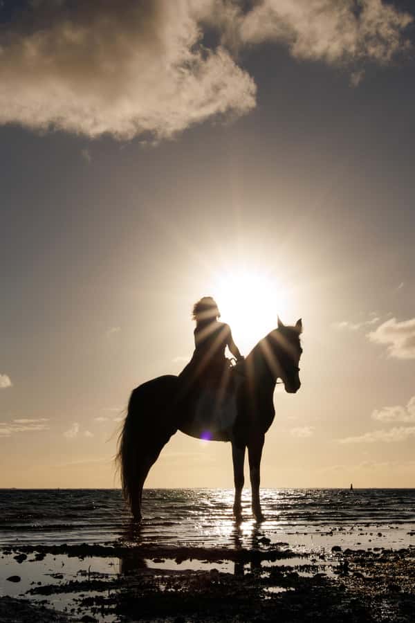 Mauritius: Horseback riding on the beach - Timing, group size, and practical details
