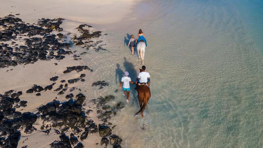 Mauritius: Horseback riding on the beach - Should you book this Belle Mare ride?