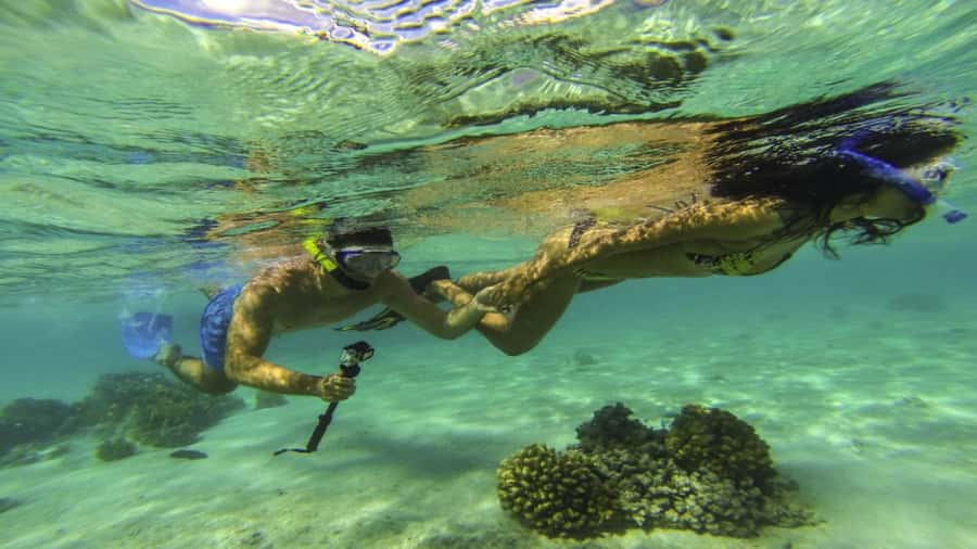 Mauritius: Ile aux Cerf Catamaran w/Waterfall Visit & Lunch - Why this catamaran day works so well
