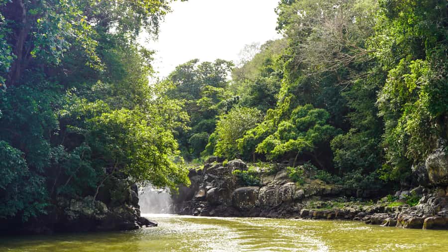 Mauritius: Ile aux Cerfs Boat Tour with BBQ Lunch and Drinks - What to pack for this east-coast outing