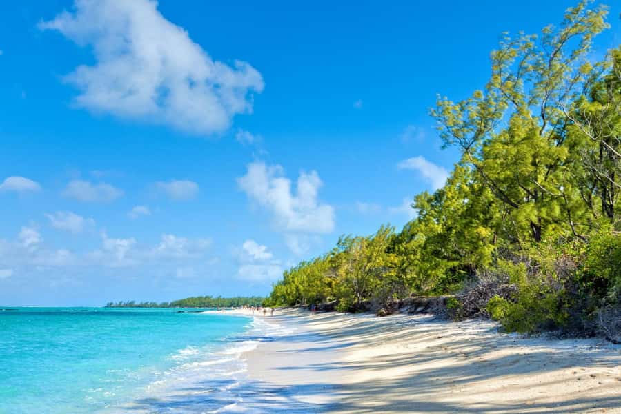 Mauritius: Ile Aux Cerfs Catamaran Trip w/ Lunch & Transfer - Grand River South East and its monkeys