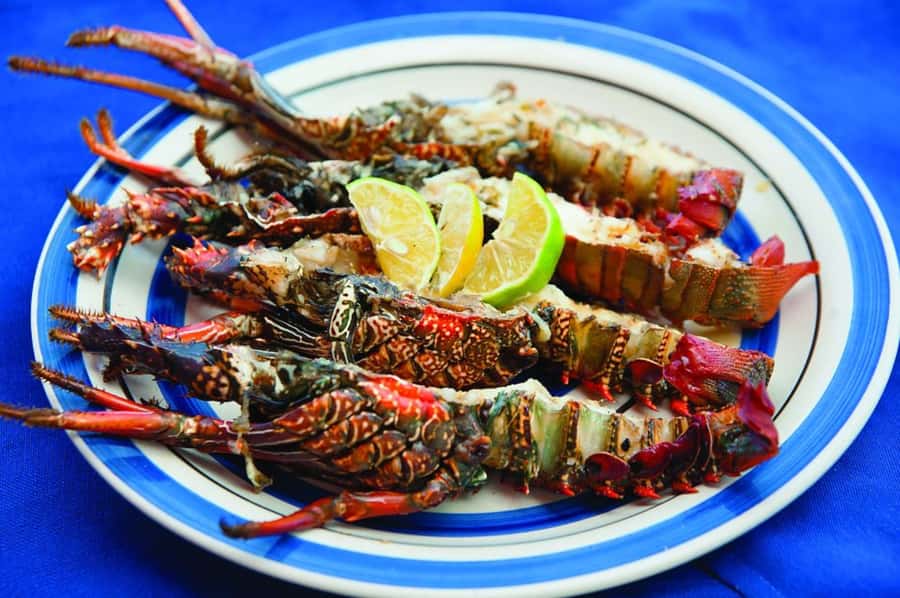Mauritius: Ile Aux Cerfs Catamaran Trip w/ Lunch & Transfer - The early hotel transfer to Trou d’Eau Douce