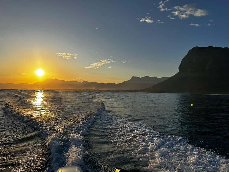 Mauritius Le Morne: Eco-Friendly Dolphin Watching Tour - Boat comfort, safety, and the crowded-water issue