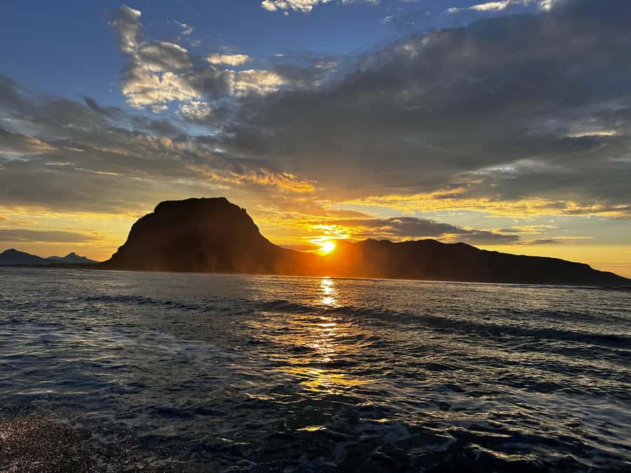 Mauritius Le Morne: Eco-Friendly Dolphin Watching Tour - Who should book this private dolphin trip?