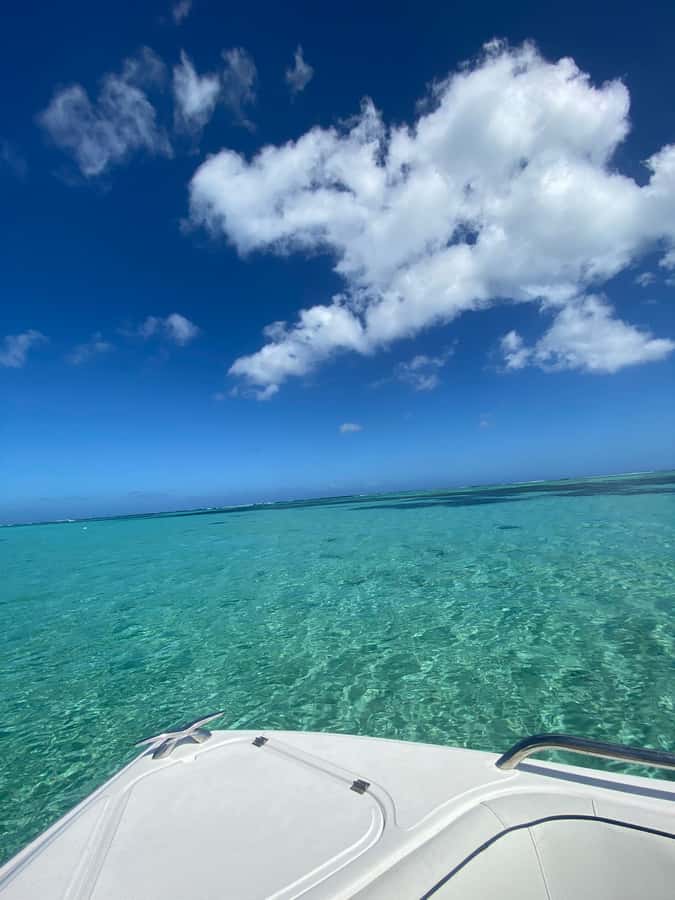Mauritius Le Morne: Eco-Friendly Dolphin Watching Tour - Meeting Ben and leaving from Le Morne