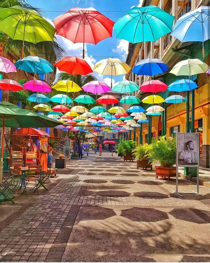 Mauritius North: Private Paradise Tour with Gardens, Markets - Key points to know before you book