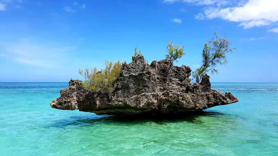 Mauritius: Ocean Swim with Dolphins - Key points at a glance