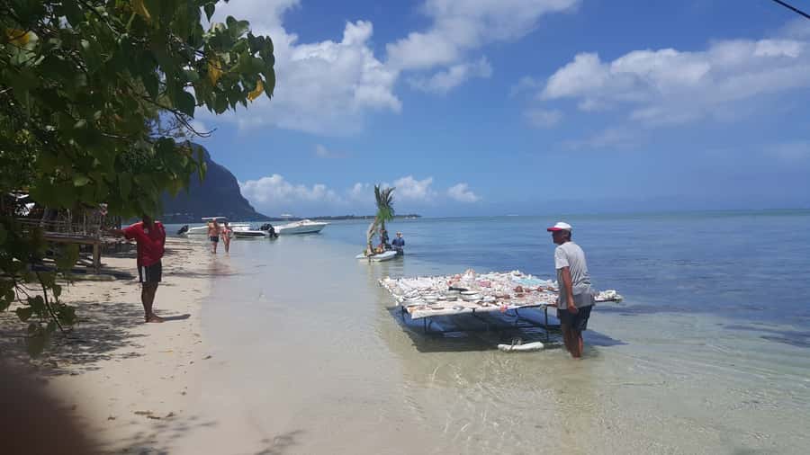 Mauritius: Ocean Swim with Dolphins - Who will enjoy this day most