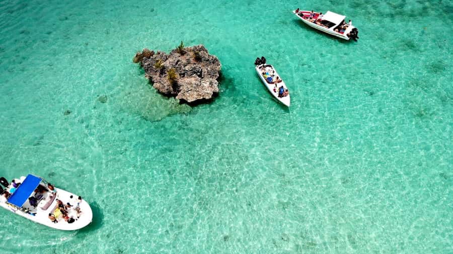 Mauritius: Ocean Swim with Dolphins - Practical tips for a smoother morning