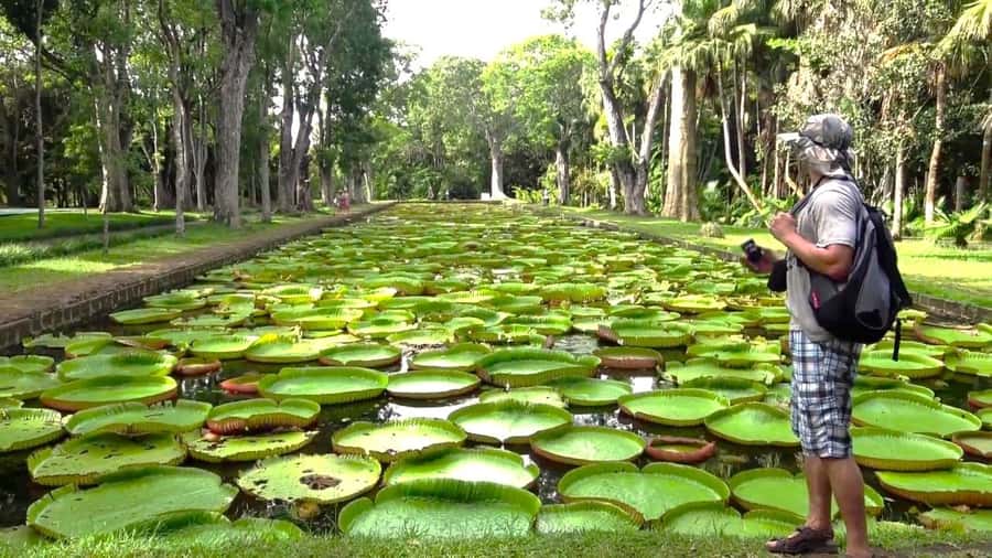 Mauritius: Port Louis and Northern Highlights Full-Day Trip - Key points to know before booking
