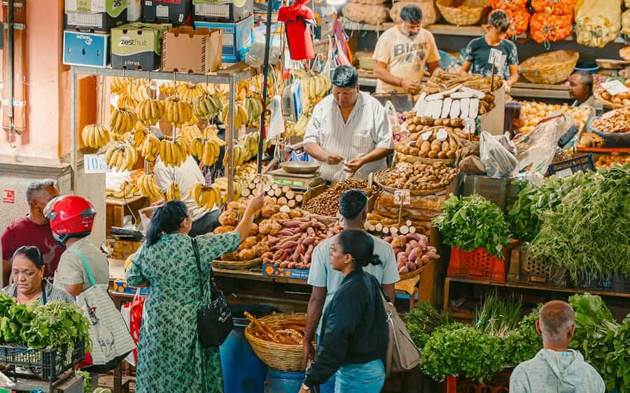 Mauritius: Port Louis and Northern Highlights Full-Day Trip - Fort Adelaide gives you the Port Louis picture