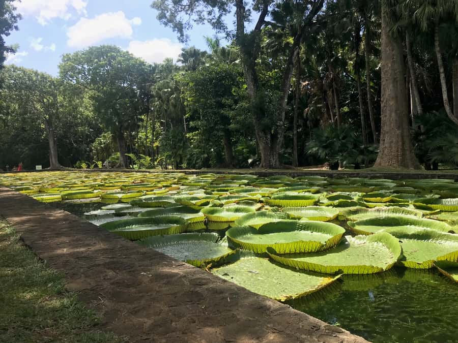 Mauritius: Private Full-Day Iconic Instagram Spots - The Seven Colored Earth at Chamarel