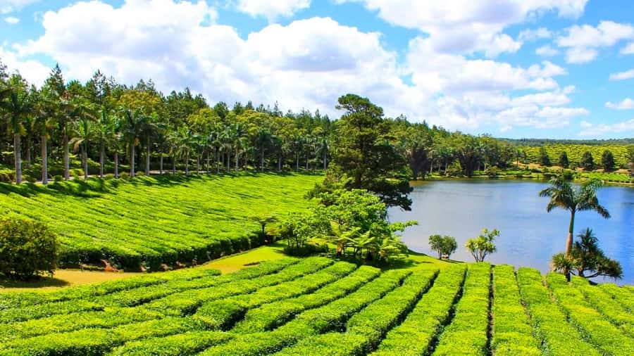 Mauritius: Private Full-Day South Mauritius Tour - Trou aux Cerfs gives you an easy first view