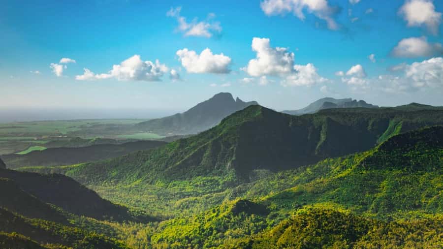 Mauritius: Private Full-Day South Mauritius Tour - Black River Gorges is the walking portion