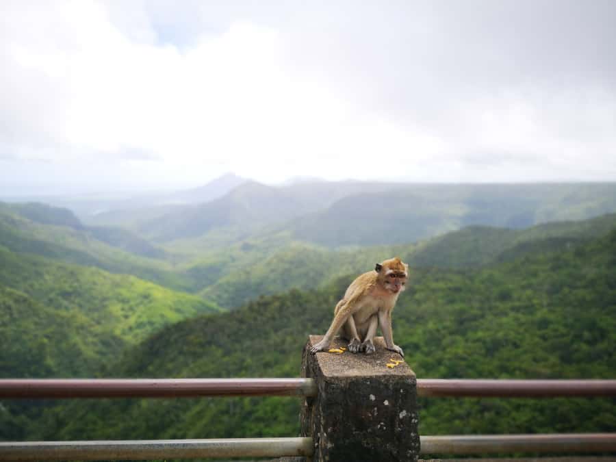 Mauritius: Private South Tour with Pickup - La Vallée des Couleurs and the 23 Colored Earth