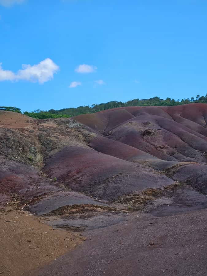 Mauritius: Private Southwest Chamarel Highlights Tour - Black River Gorges and the search for wildlife