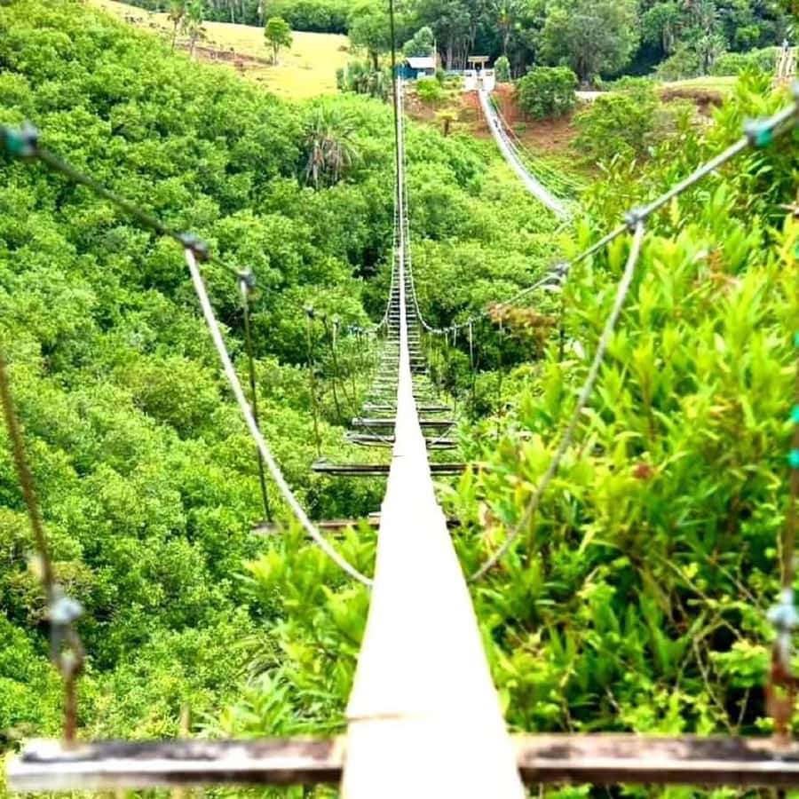 Mauritius: Private Southwest Day Tour - Trou aux Cerfs, a volcano above Curepipe