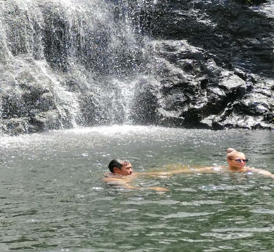 Mauritius: Tamarind Falls Guided Hike with Swim and Lunch - The fifth waterfall and natural tree steps