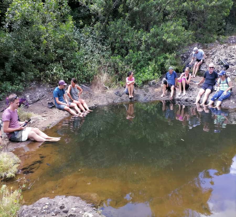Mauritius: Tamarind Falls Guided Hike with Swim and Lunch - Who should book Tamarind Falls?