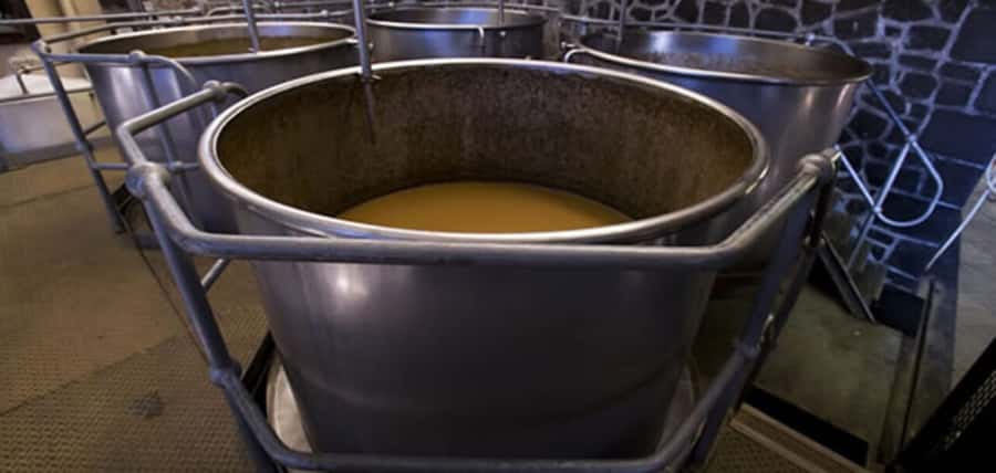 Mauritius: Tea and Sugar Plantation Guided Tour with Lunch - The guide can shape the whole experience