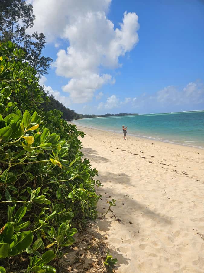 Mauritius: Vanilla Park & Beaches Tour with Extra Option - Maconde viewpoint on the Baie du Cap road