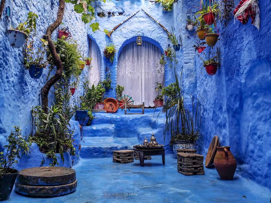 Memorable Day Trip From Fez to Chefchaouen the Blue City - The real appeal: a blue mountain town for a few hours