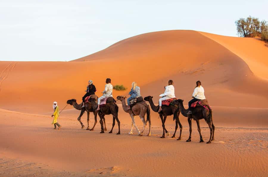 Merzouga: 1-Night in Desert Camp With Dinner & camel ride - How the $68 price holds up